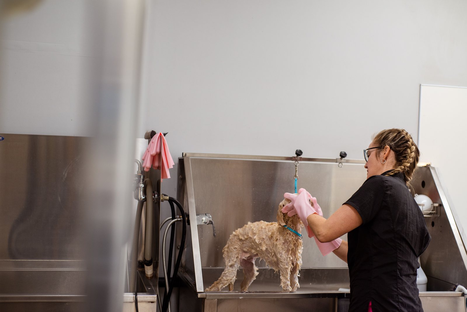 Profissional dando banho em um cão