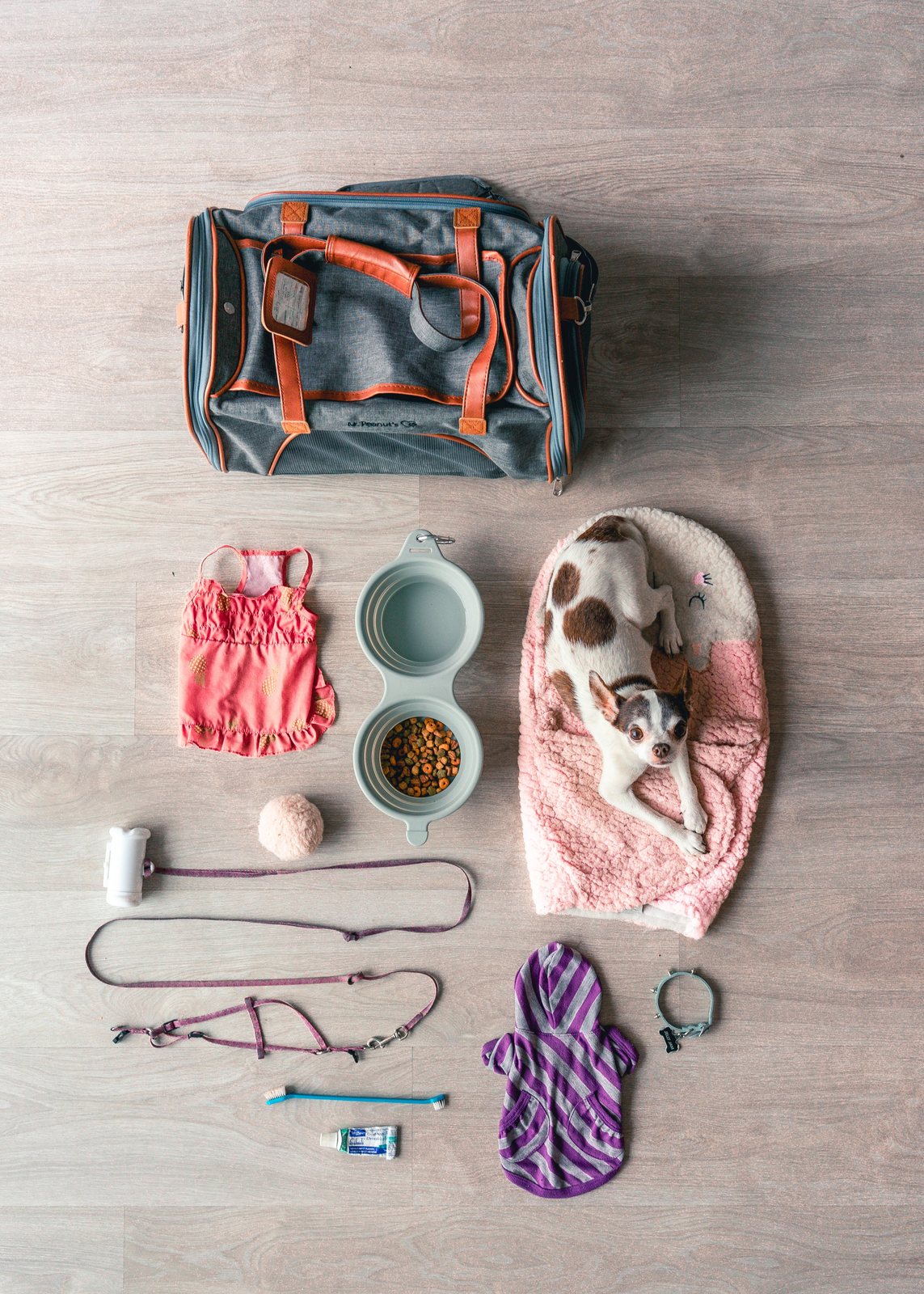 Kit de acessórios e itens de higiene para pets